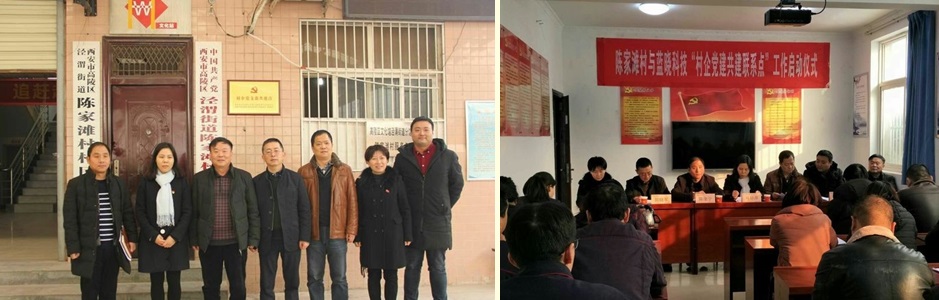 ��˾��֧��̽������������ģʽ